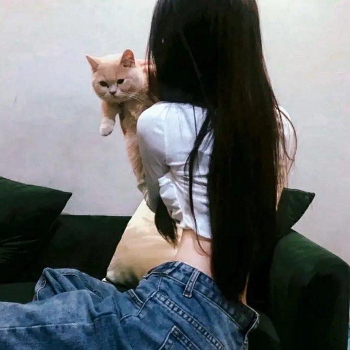 心灵的故事